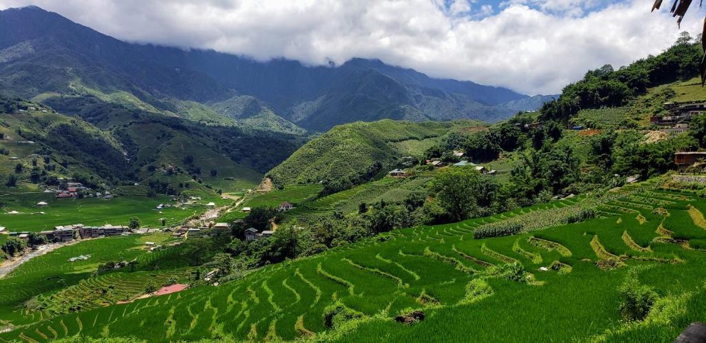 Eco Palms House - Sapa Retreat - 14