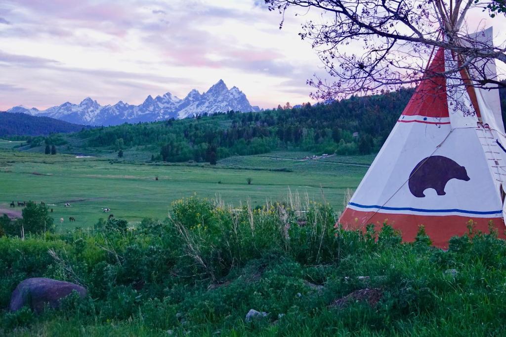 un cône avec un ours peint dans un champ dans l'établissement Buffalo Valley Ranch, à Moran