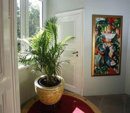 Pension am Großen Garten KG - 13