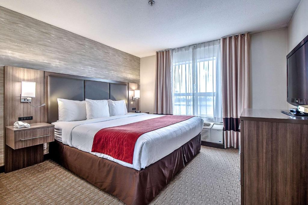 Comfort Inn & Suites South - Resim 2