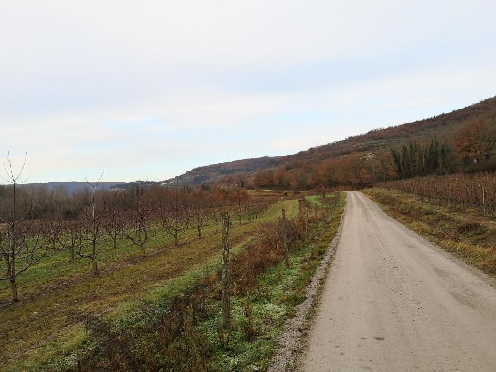 Příroda nedaleko apartmánu