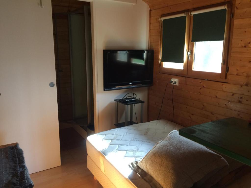 TV a/nebo společenská místnost v ubytování studio panorama