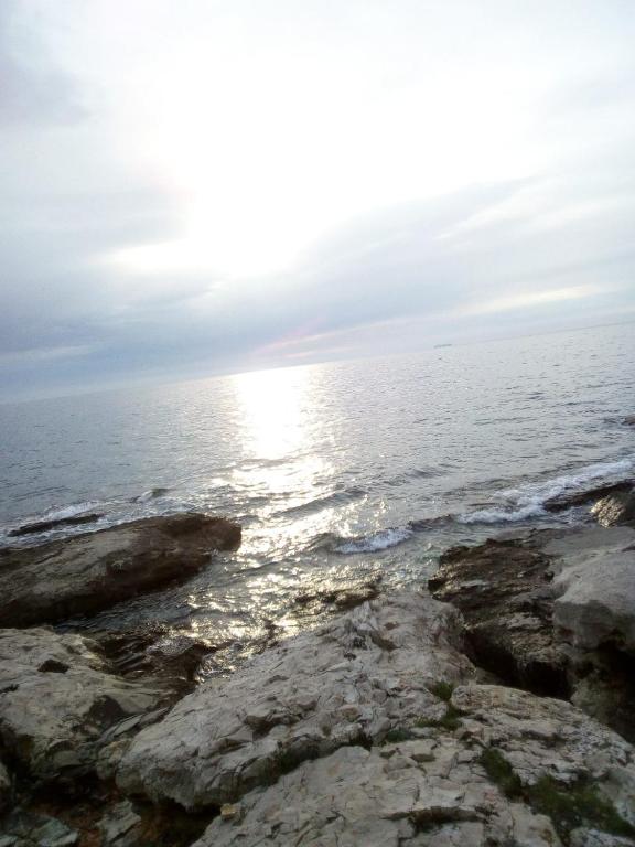 APP EMONA