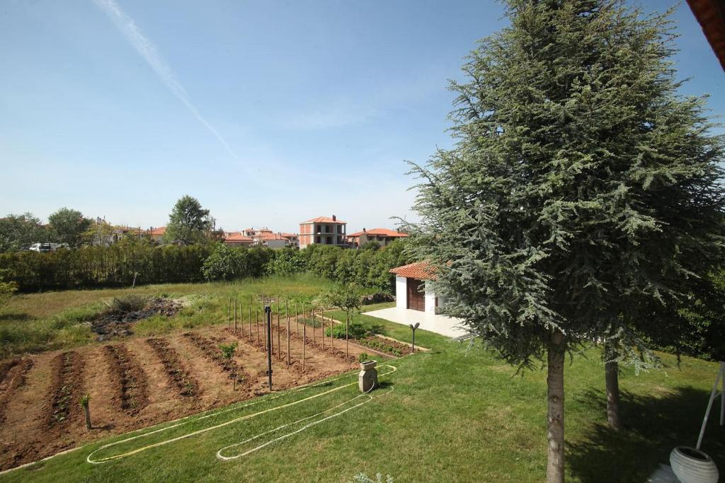 A garden outside Villa Aurora