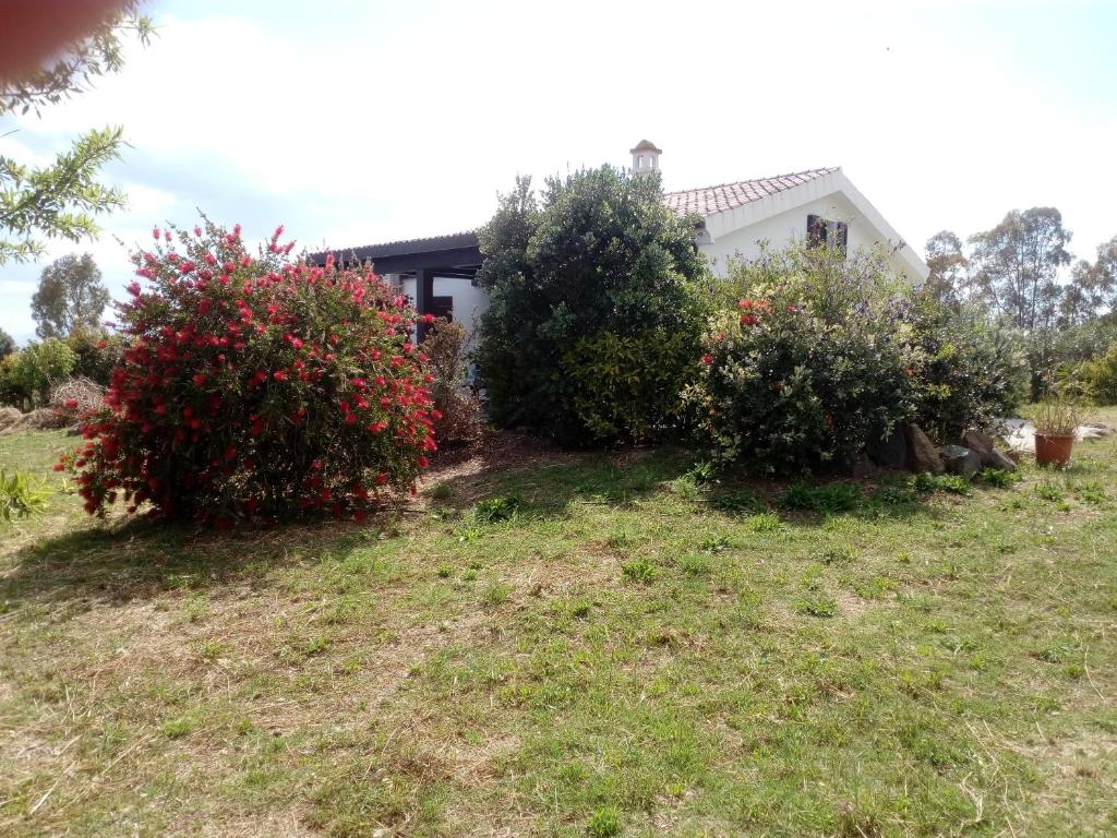 a house with bushes in front of a yard at Casa Nerelie'S in Orosei