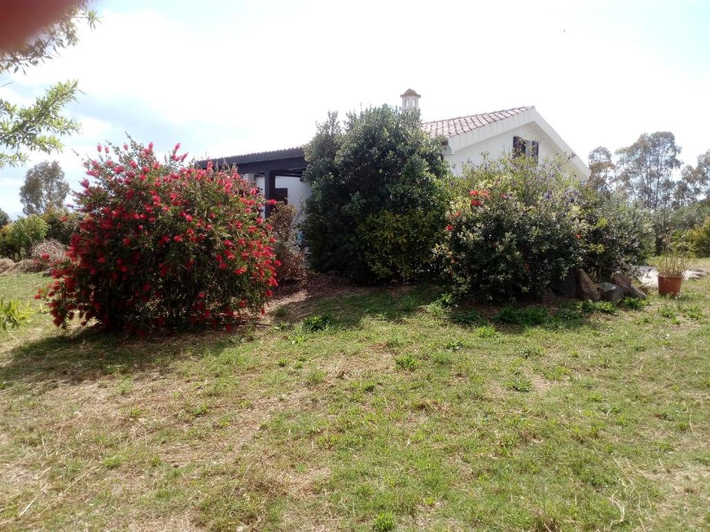 Zahrada ubytování Casa Nerelie'S