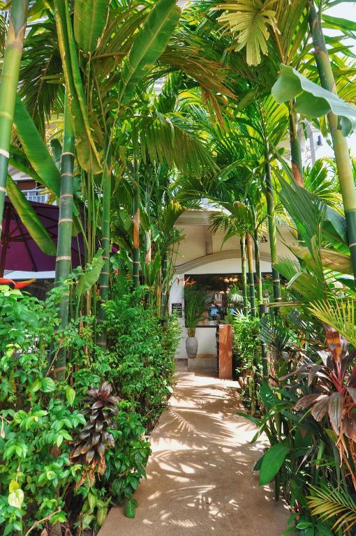 Zahrada ubytování Bokre Angkor Hostel