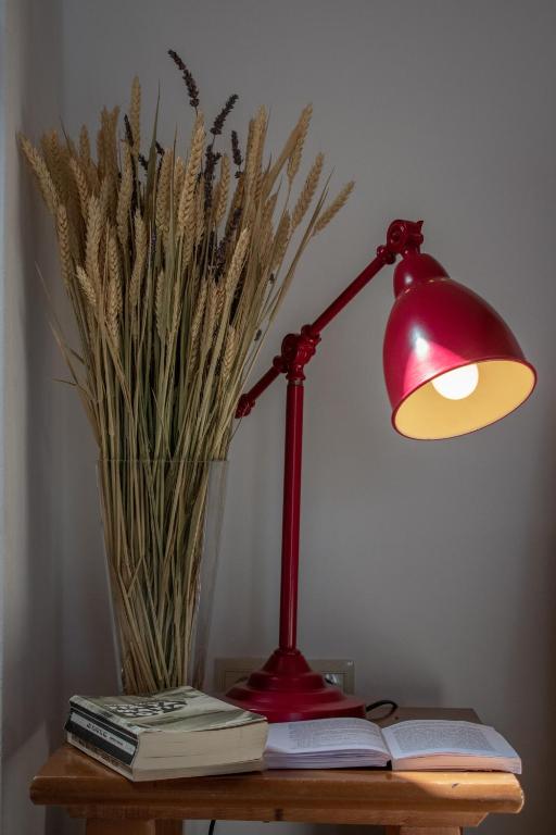 Anemelia Retreat - Explore & Recharge - 12