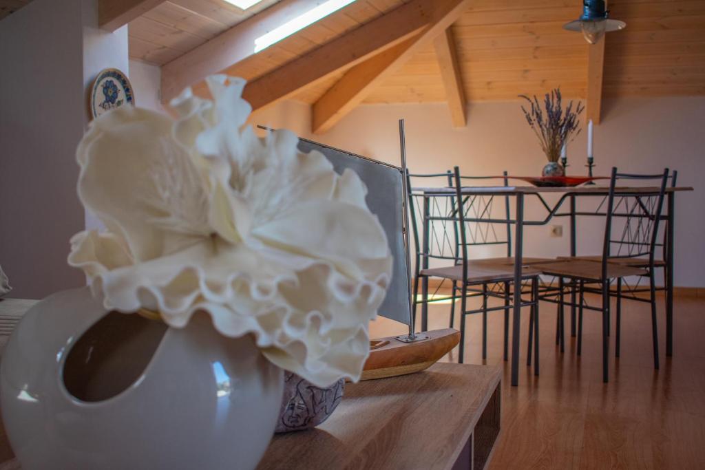 Anemelia Retreat - Explore & Recharge - 13