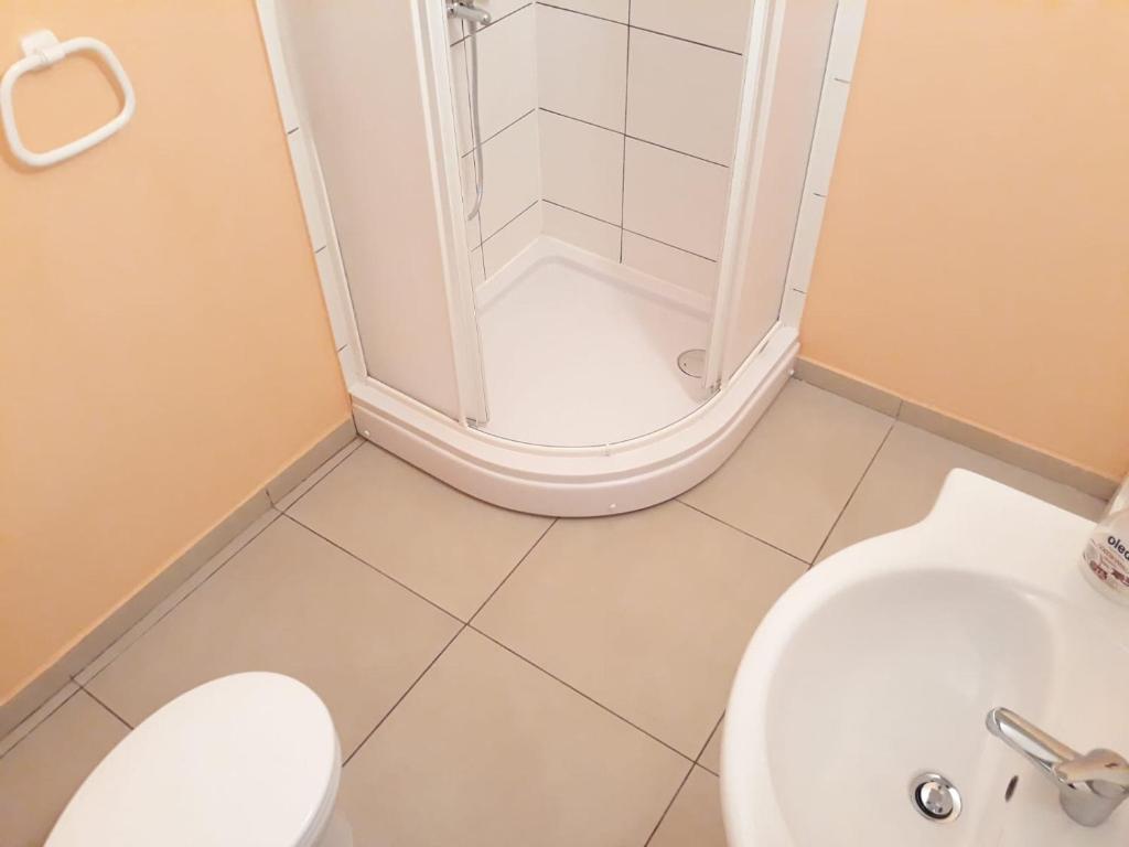 Vannituba majutusasutuses Apartments Božito