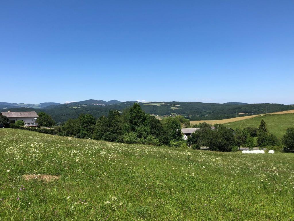 Príroda v okolí hotela