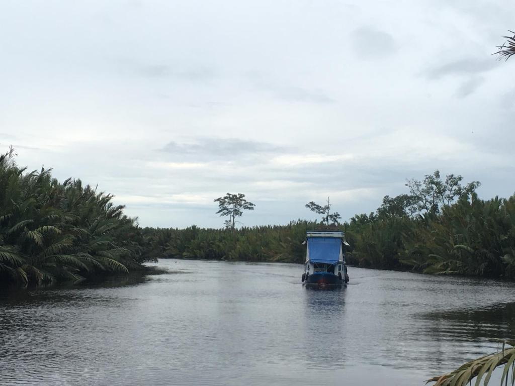 a blue boat in the middle of a river at Orangutan Shaka Houseboat with cabin in Pangkalan Bun