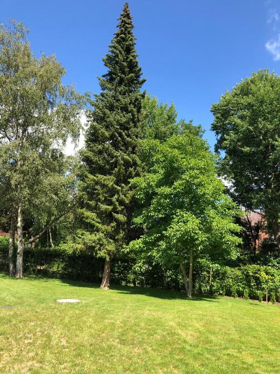 Zahrada ubytování Ferienhaus Bäk-Ratzeburg