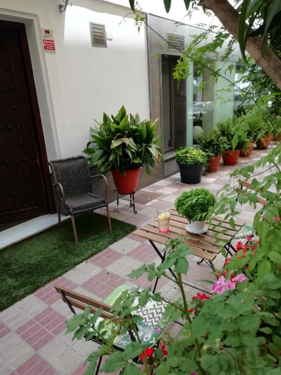 Hotel Avenida 31 - Resim 12