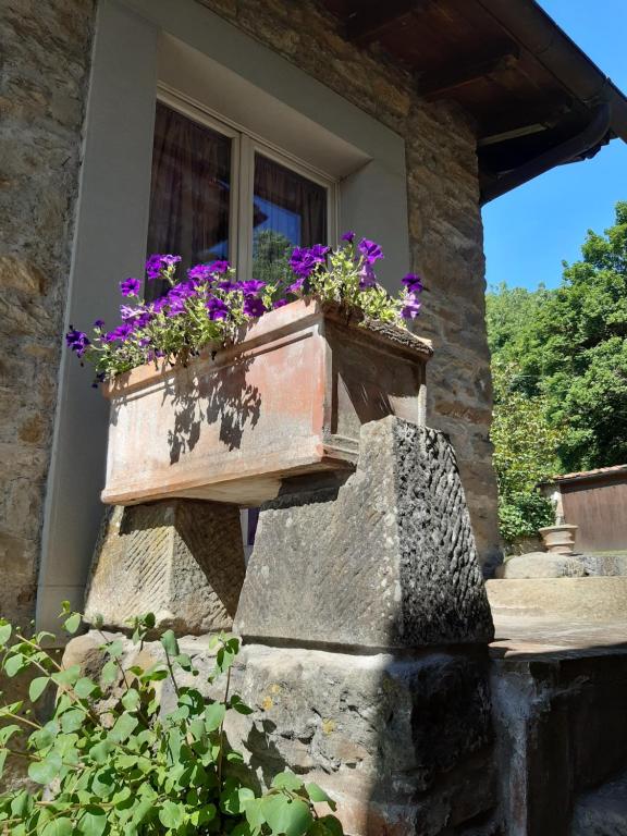 Country Residence Turicchi - Apartment