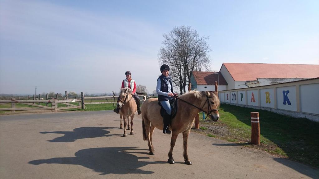 dwoje ludzi jeździ konno ulicą w obiekcie ZOOPARK Zelčín w Mielniku