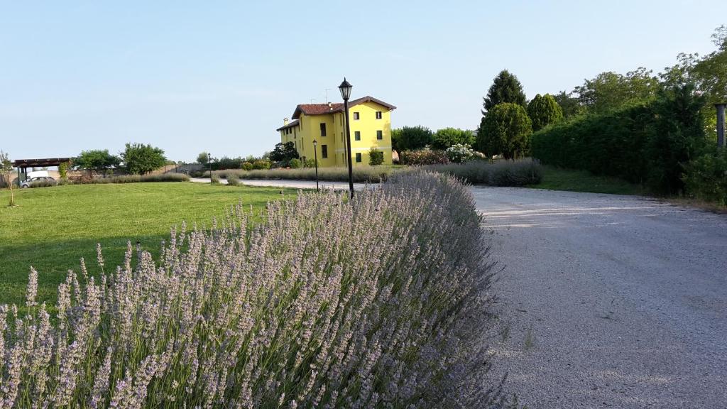 Eine Straße mit einem gelben Haus und einem Grasfeld in der Unterkunft Agriturismo ai Casali in Palazzolo dello Stella