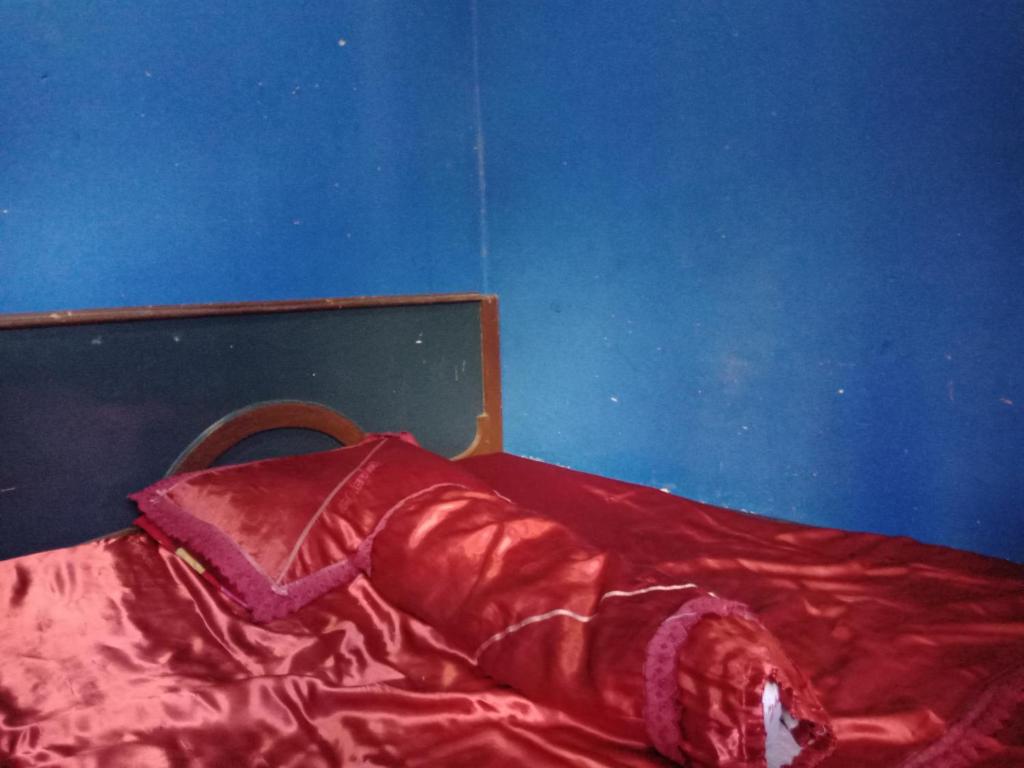 Amora Homestay - Single Room
