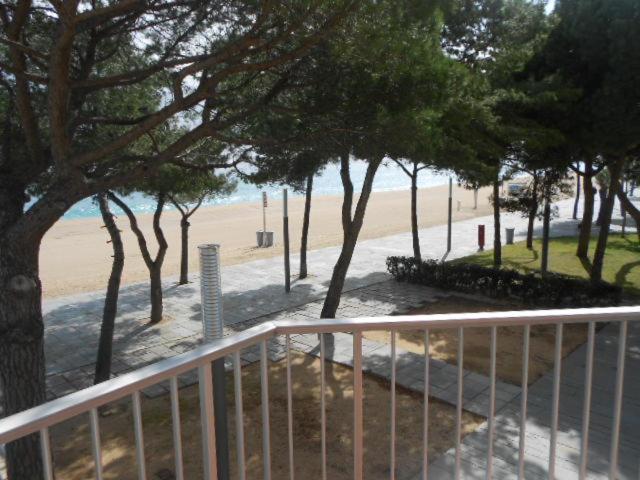 vista su una spiaggia alberata e su una recinzione di Alexandra A-1 a Platja  d'Aro