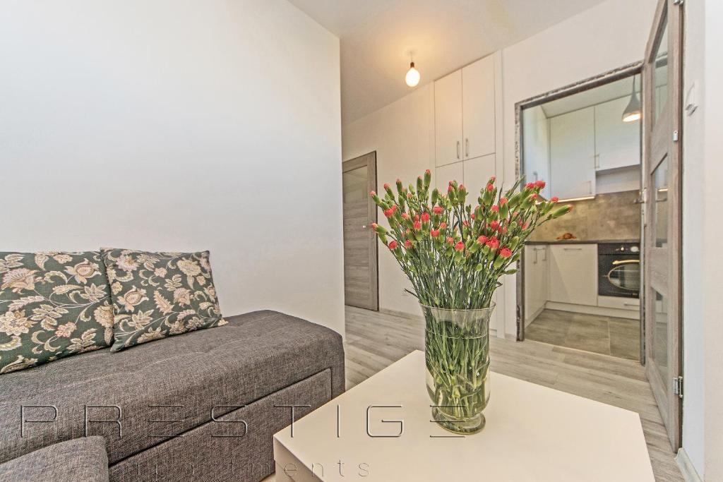Kuchyňa alebo kuchynka v ubytovaní Reagan Park Apartament