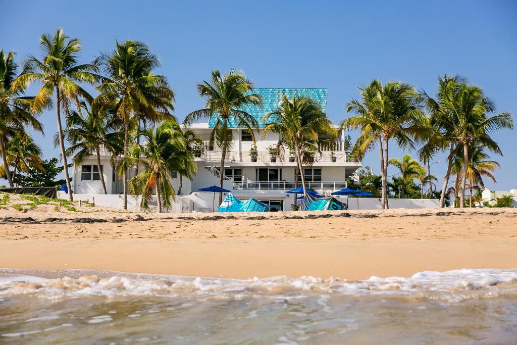 une maison sur la plage avec des palmiers dans l'établissement Numero Uno Beach House, à San Juan