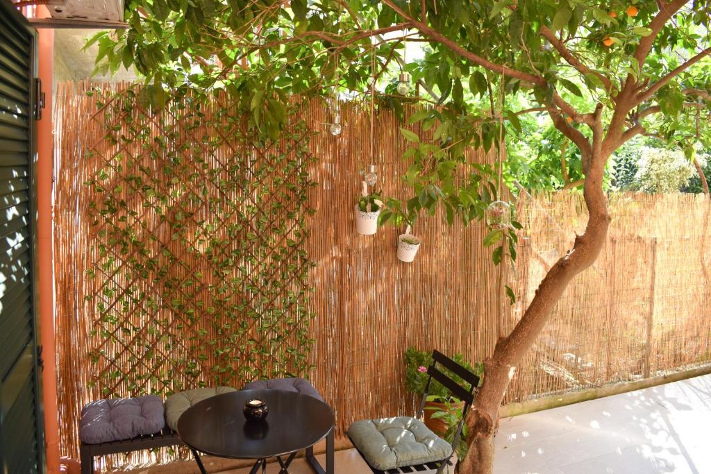A garden outside Martha's Apartment