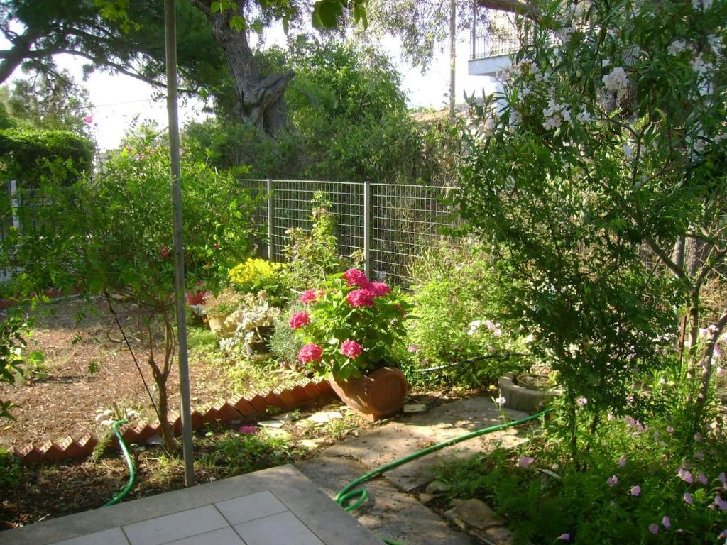 Zahrada ubytování Lefkas house with garden