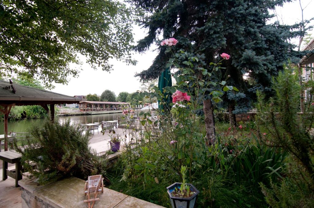 Zahrada ubytování Agva Nehir Evi - Adult Only
