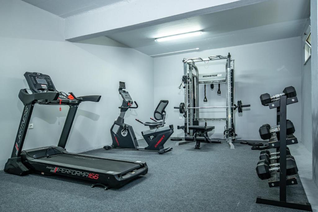 Fitness centrum a/nebo fitness zařízení v ubytování Evripides Village