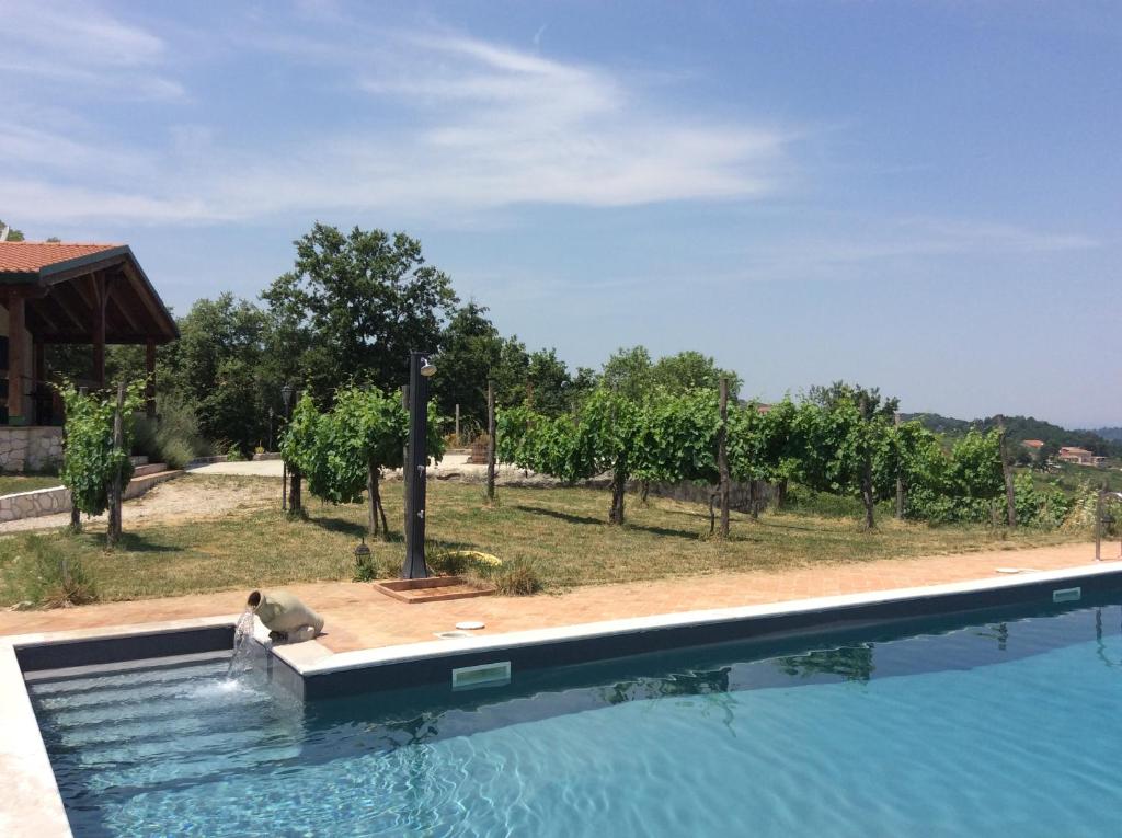 a swimming pool with a dog sitting on the edge of it at Relais de Beaumont in Castelvetere sul Calore