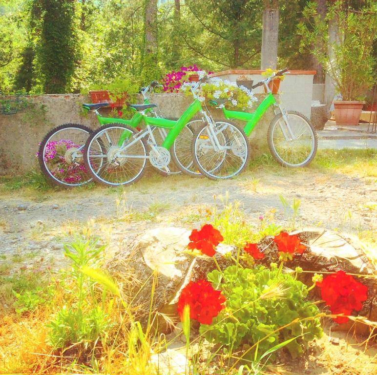 Zahrada ubytování Le Apuane Holidays