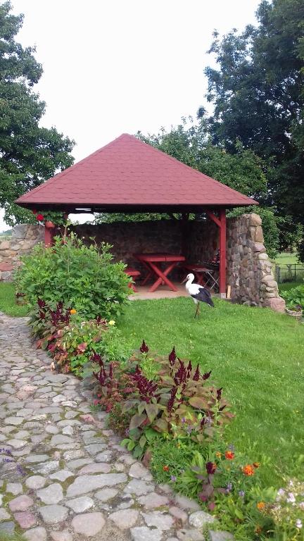 een vogel die voor een prieel staat bij Agroturystyka Rewita in Darłowo