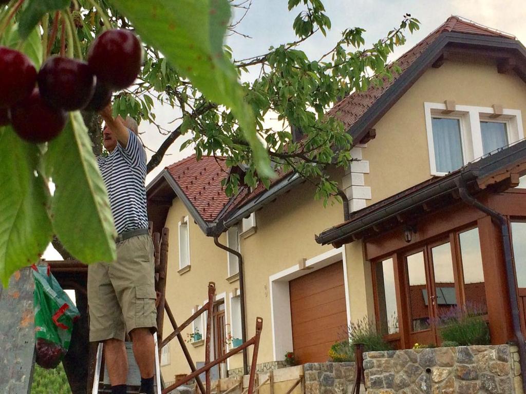 Budova, kde se bed and breakfast nachází