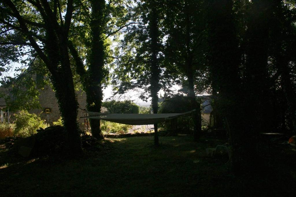 Příroda nedaleko bed and breakfast
