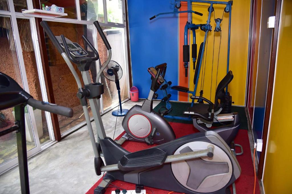 Fitness centrum a/nebo fitness zařízení v ubytování Colombo Villa