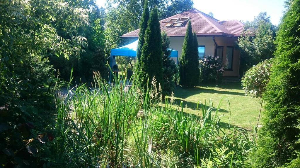 Vonkajšia záhrada v ubytovaní BASTÓWKA 2 Apartamenty