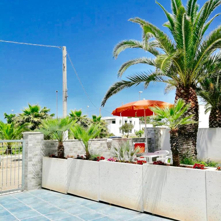 Zahrada ubytování Residence Le Palme