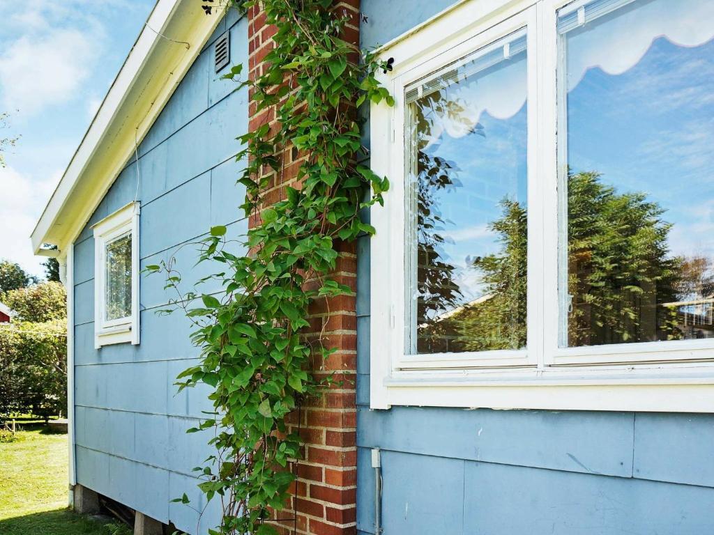 Cette maison bleue est dotée d'une fenêtre et de lierre. dans l'établissement 6 person holiday home in FALKENBERG, à Falkenberg