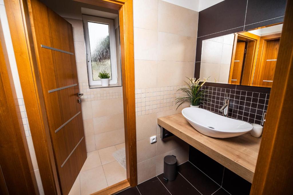 Koupelna v ubytování Apartmány U Ořecha