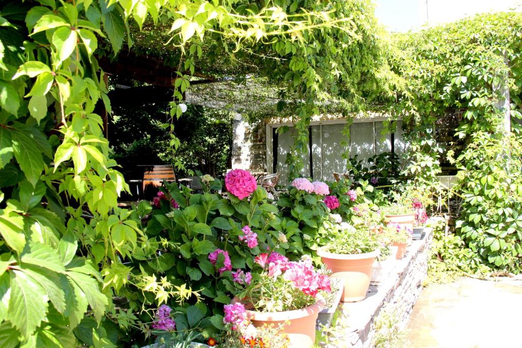 a garden with many potted plants and flowers at Accendi Pipa in Campitello