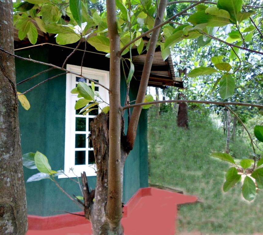a tree house with a red floor at Green Lantern in Ella
