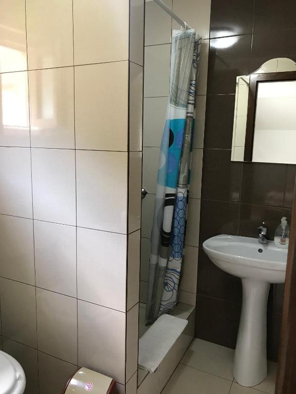 a bathroom with a shower and a sink at Casa de vacanta Dana in Şugag
