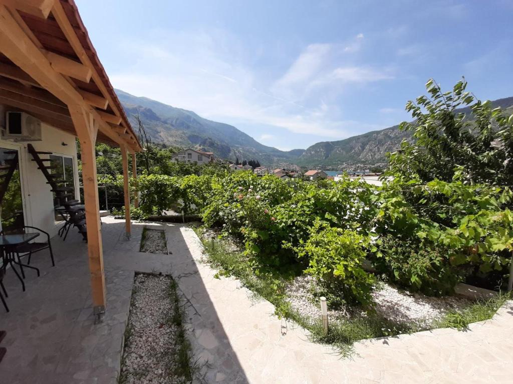 Příroda nedaleko apartmánu