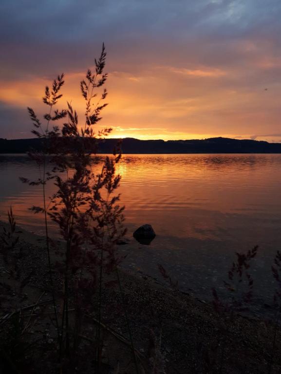 Φυσικό τοπίο κοντά σε αυτό το διαμέρισμα