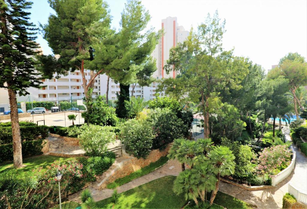Playmon Park C39, Benidorm – Bijgewerkte prijzen 2023