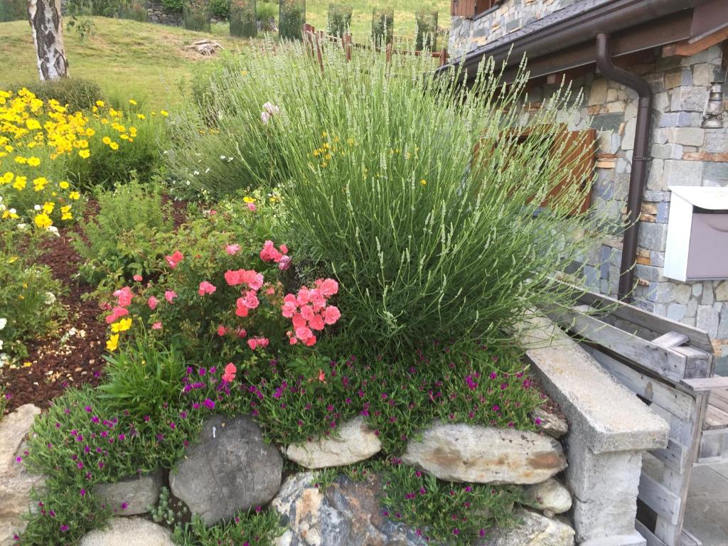 Zahrada ubytování 2 CUORI E UN B&B