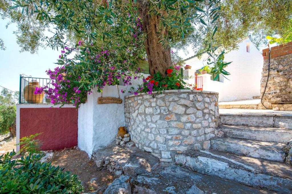 Zahrada ubytování Villa Eleonas