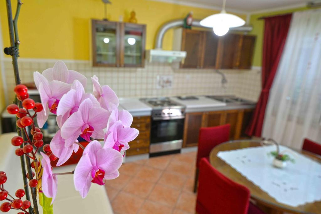 Kuchyň nebo kuchyňský kout v ubytování Apartment Zena