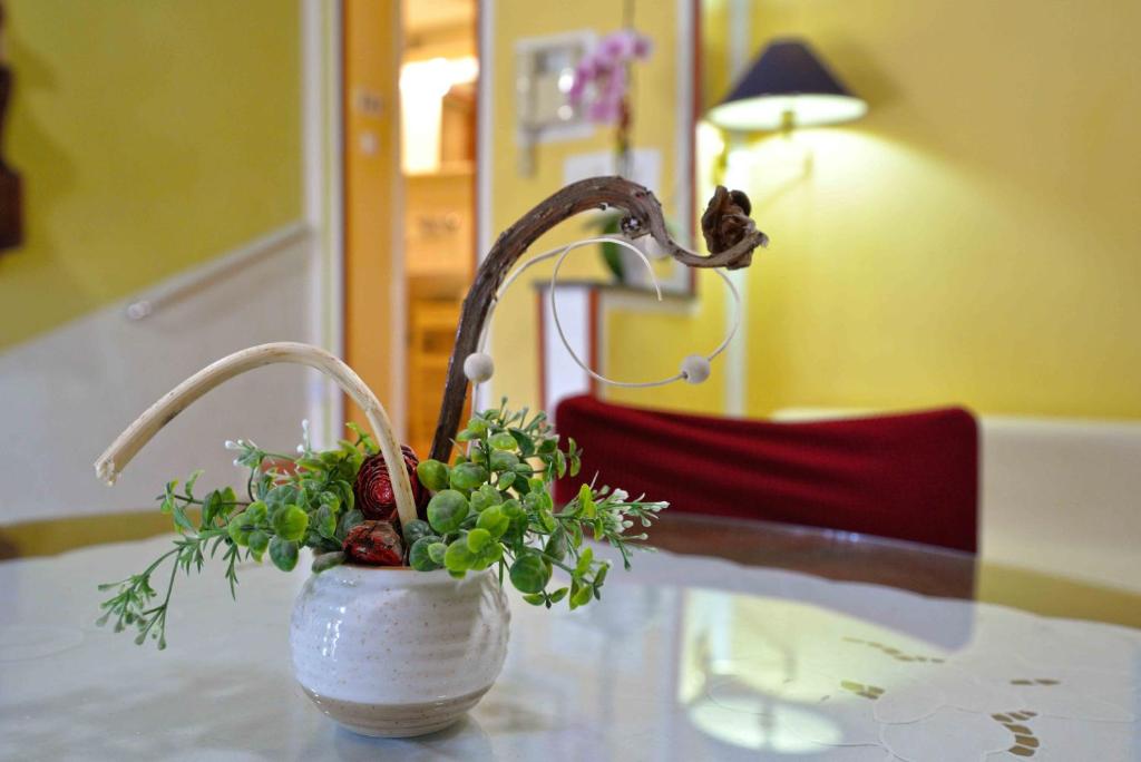 Fotografie z fotogalerie ubytování Apartment Zena v Murteru