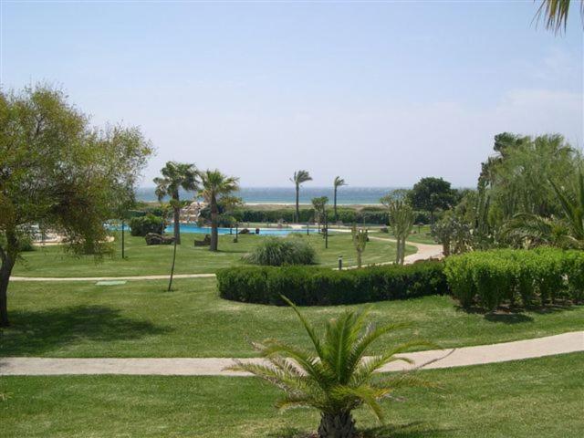 a park with palm trees and a path and a pool at Apartamentos Atlanterra COSTA Y SOL in Zahara de los Atunes